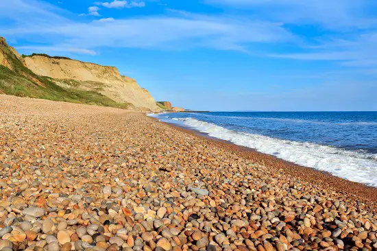 how to find fossils on a beach