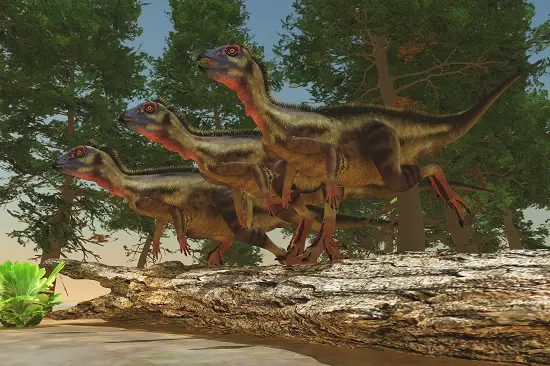 What Did Omnivorous Dinosaurs Eat