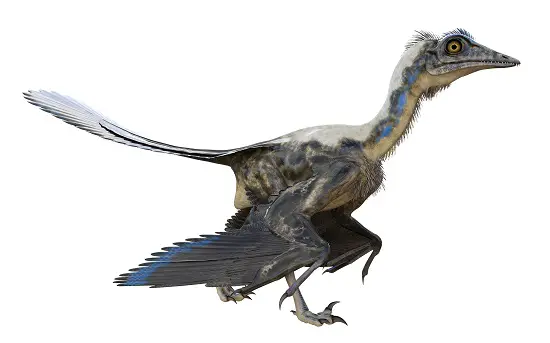 yi qi was the shortest dinosaur name