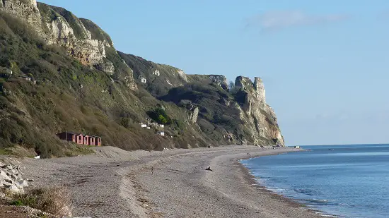 how to find fossils on a beach