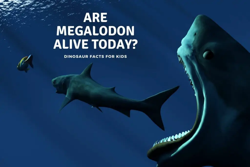 Are Megalodon Alive Today? Dinosaur Facts For Kids