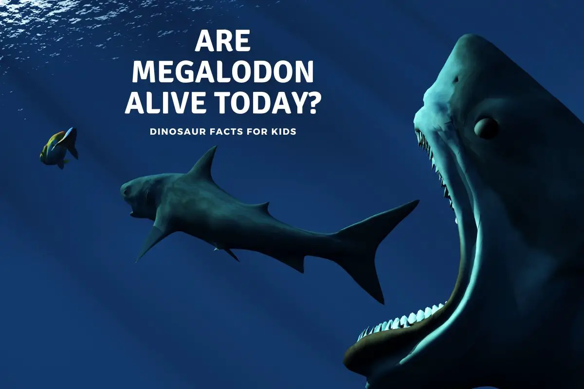 Are Megalodon Alive Today? - Dinosaur Facts For Kids