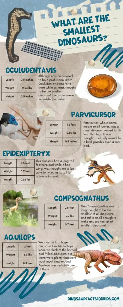 What are the smallest Dinosaurs infographic