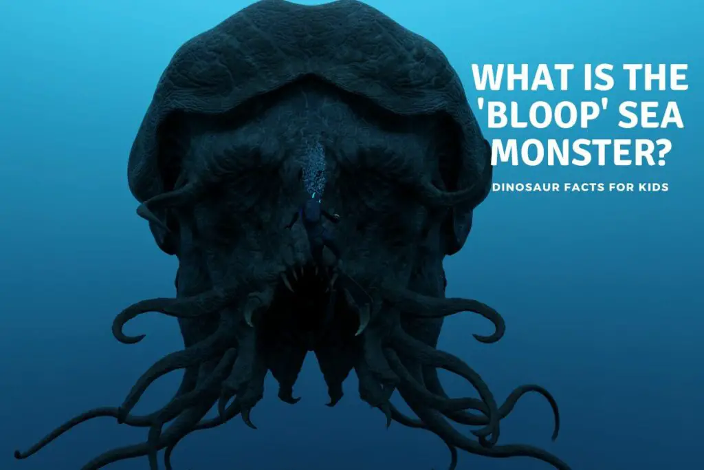 What Is The 'Bloop' Sea Monster? - Dinosaur Facts For Kids