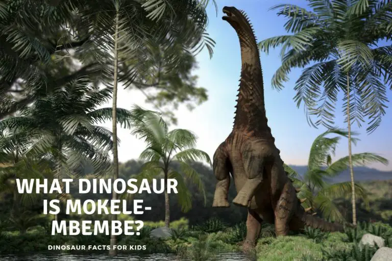 What Dinosaur is Mokele-Mbembe?