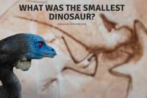 What was the smallest dinosaur (2)