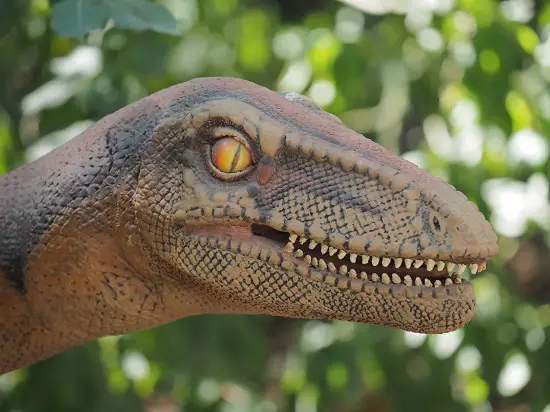 podokesaurus state dinosaur of Massachusetts
