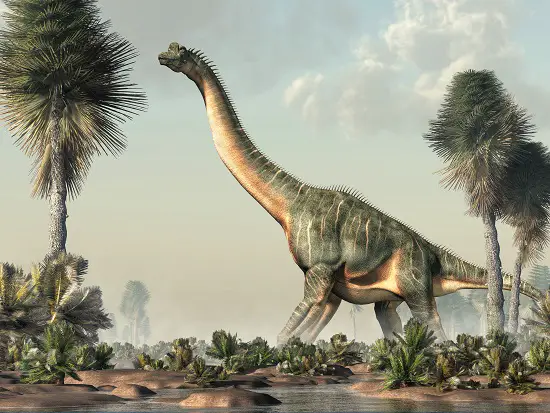 Sonorasaurus State dinosaur of Arizona