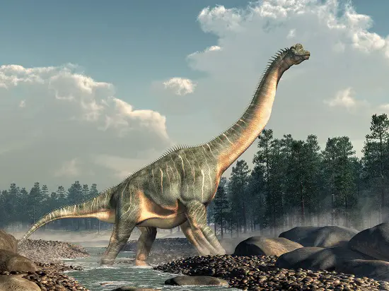 How much did brachiosaurus eat