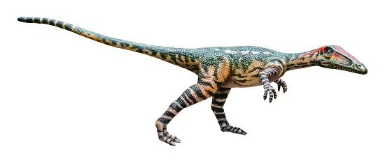 State dinosaur of Massachusetts podokesaurus