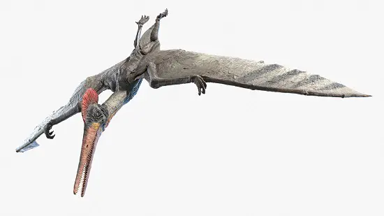 How big was pterodactyl