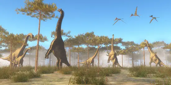 How much did brachiosaurus eat