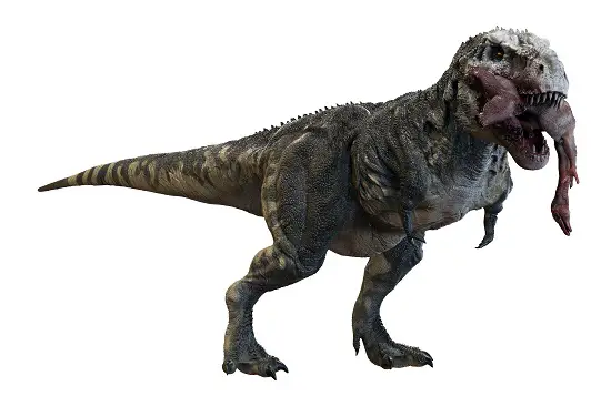 What was the bite force of a t rex
