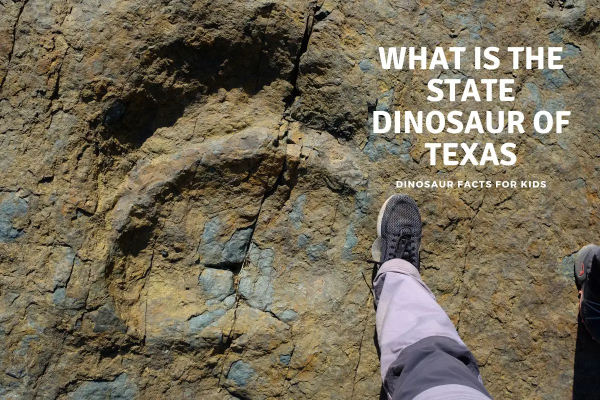 what is the state dinosaur of texas