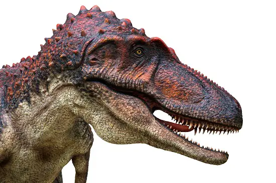 Daspletosaurus like t-rex
