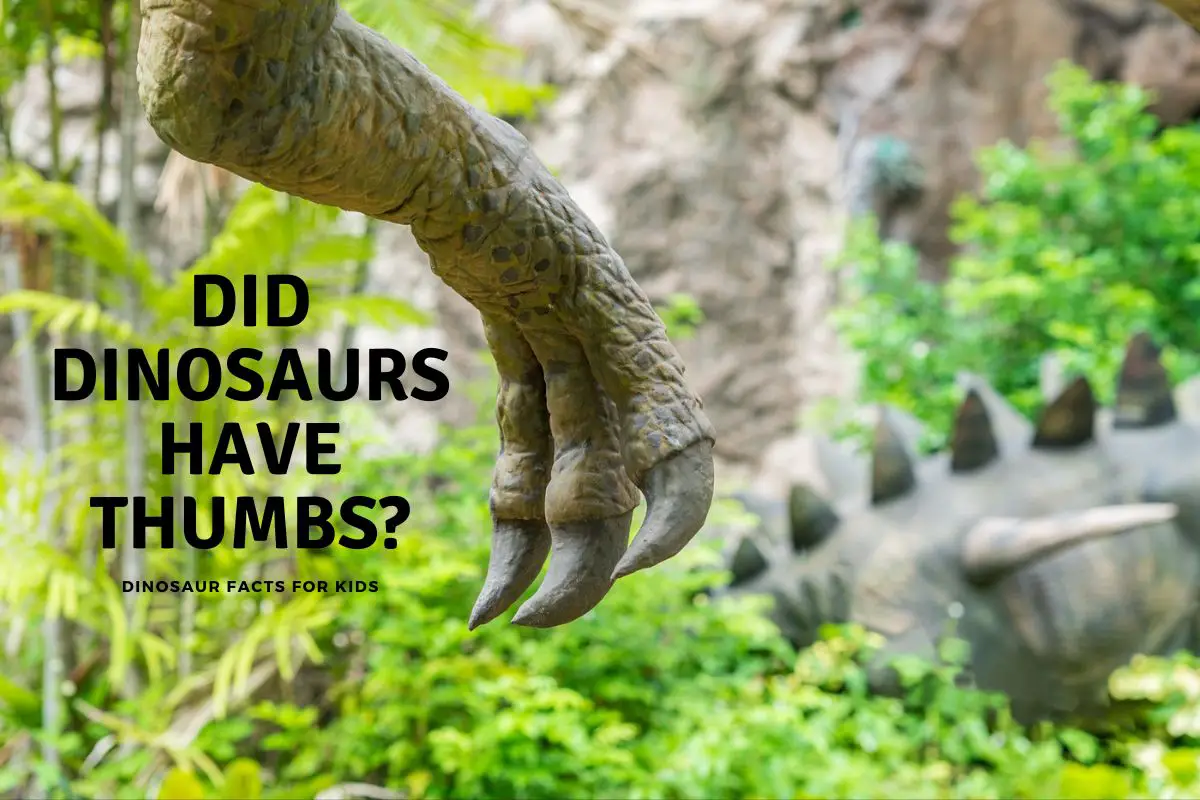 did dinosaurs have thumbs