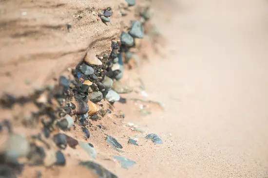 How to Find Megalodon Teeth strandlines