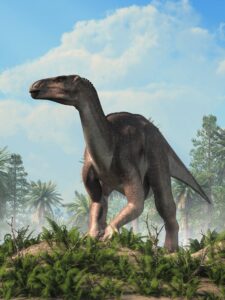 most popular dinosaur - iguanodon