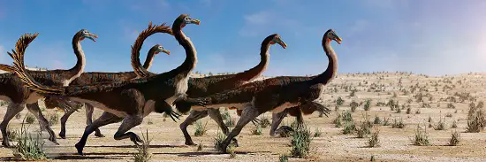 most popular dinosaur - gallimimus