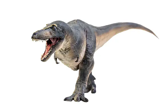 Tarbosaurus like t rex
