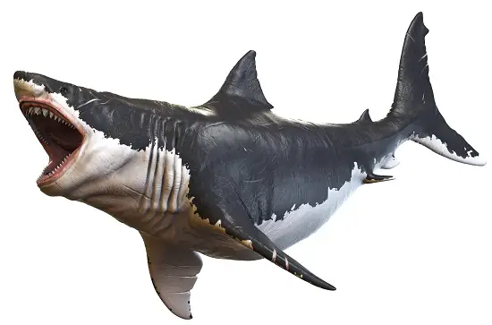 Are Megalodon Alive Today?