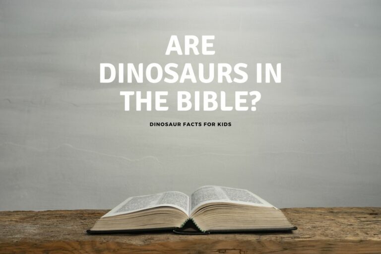 Are Dinosaurs In The Bible?