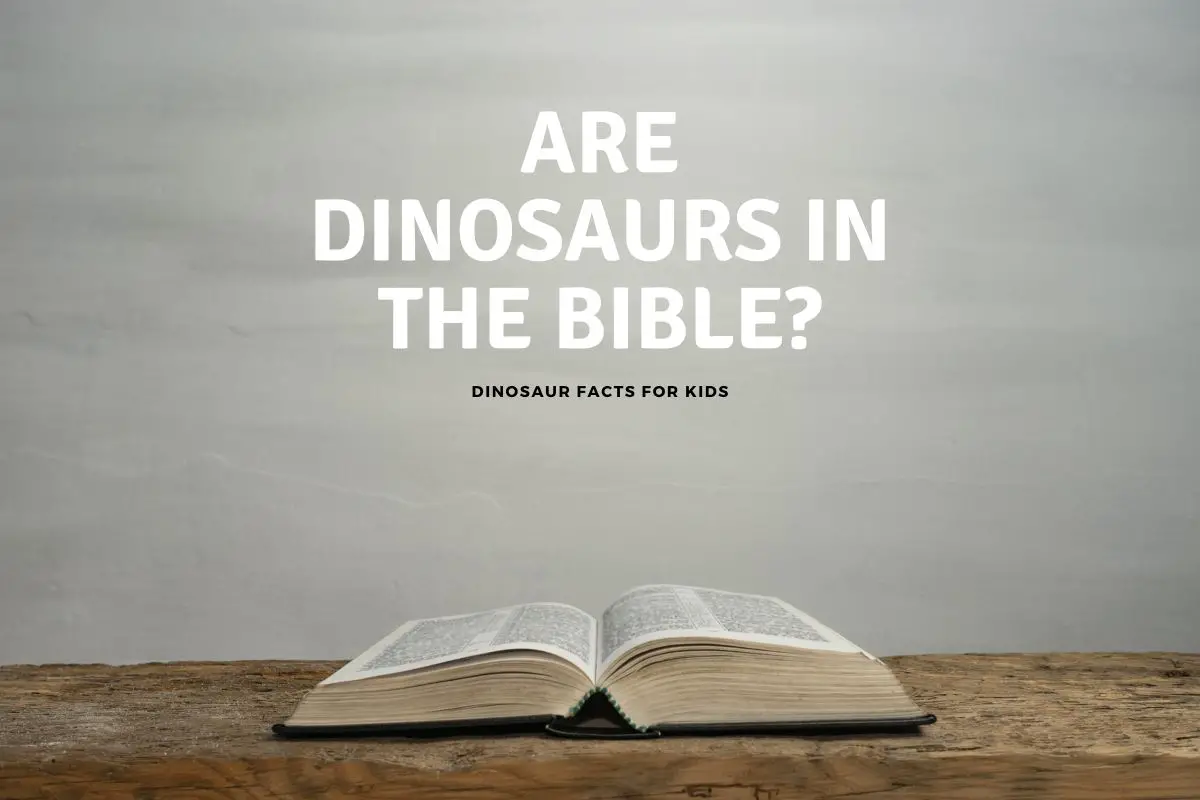 Are Dinosaurs In The Bible