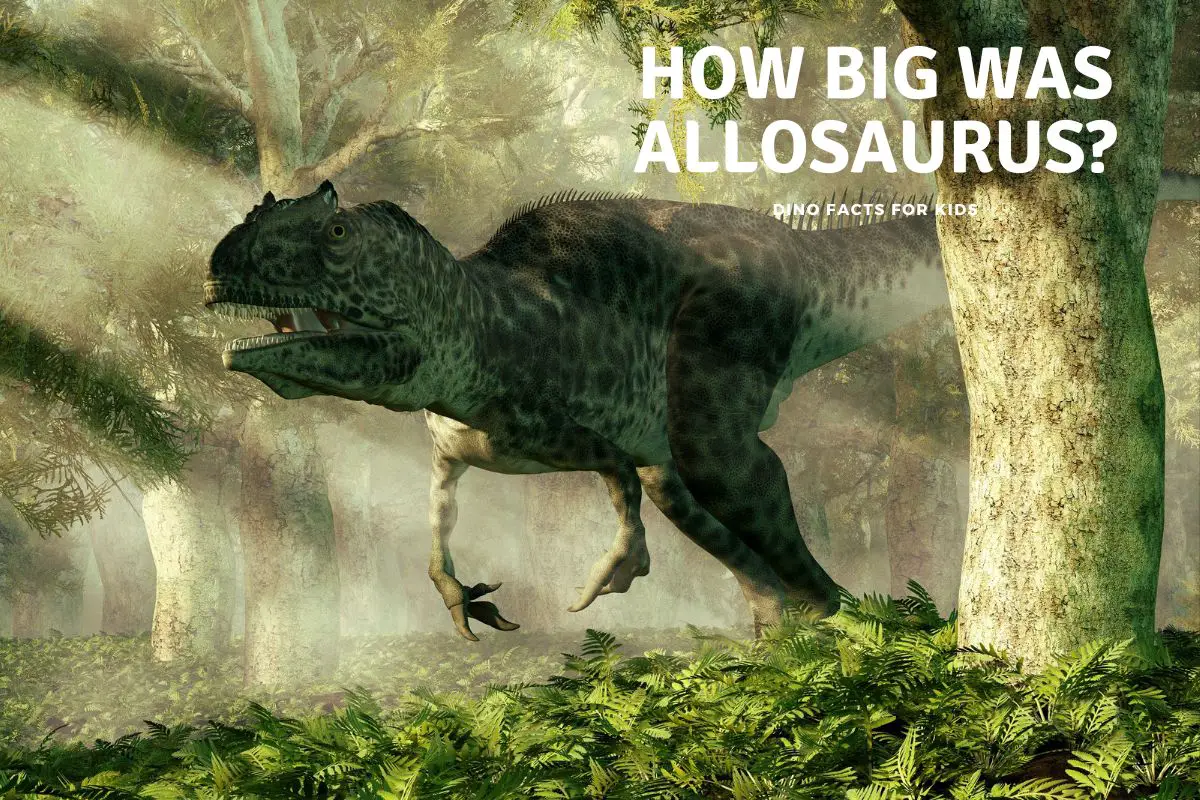 how big was allosaurus
