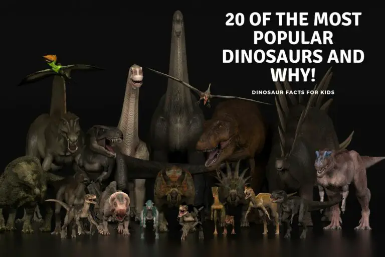 20 Most Popular Dinosaurs and Why!