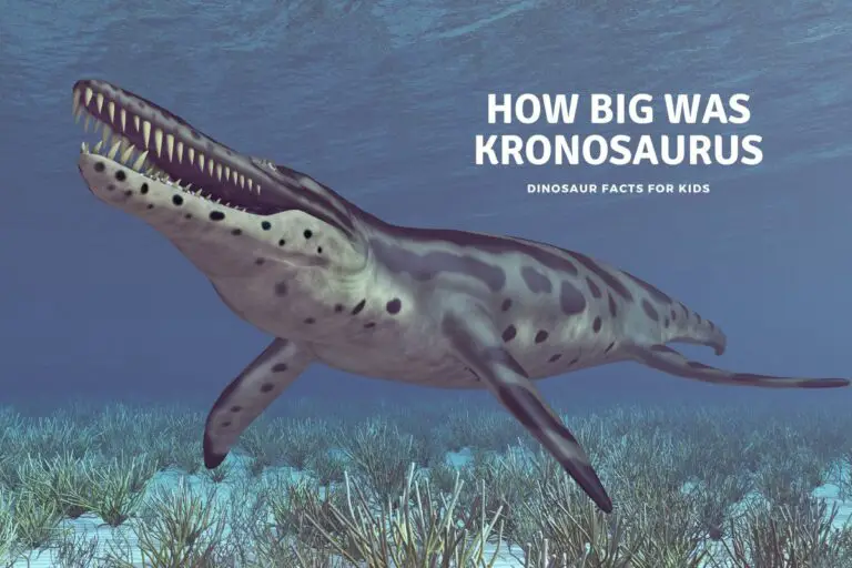How Big Was Kronosaurus?