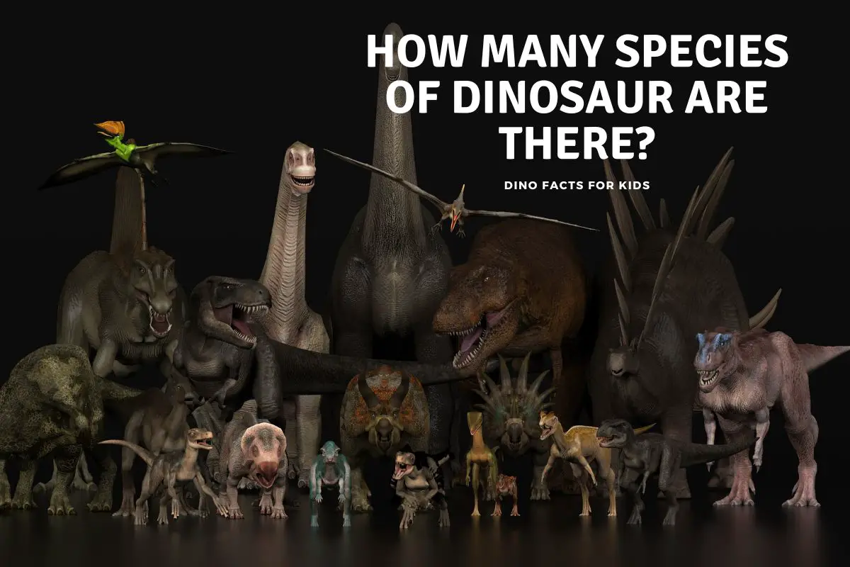 how-many-species-of-dinosaur-are-there-dinosaur-facts-for-kids