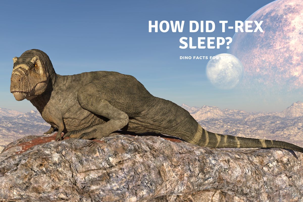 How Did T-Rex Sleep?