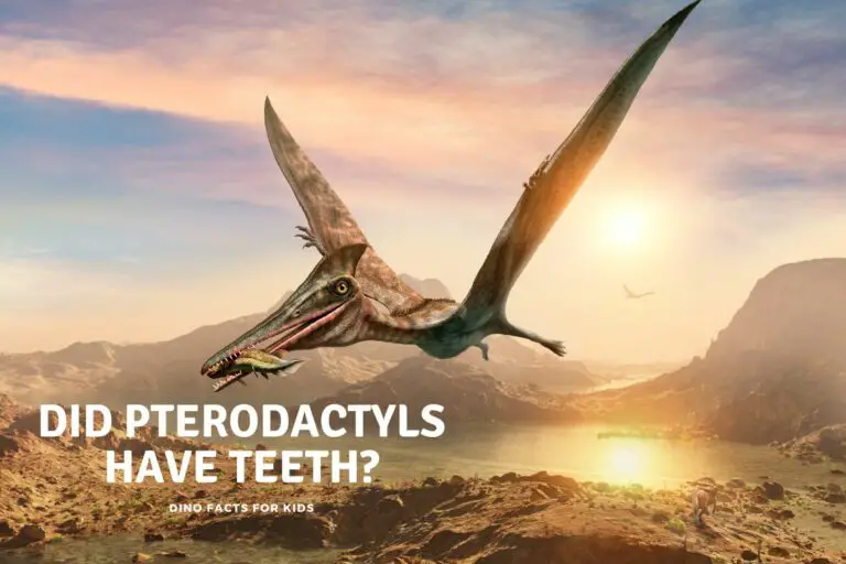 Did Pterodactyls Have Teeth?