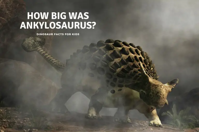 How Big Was Ankylosaurus?