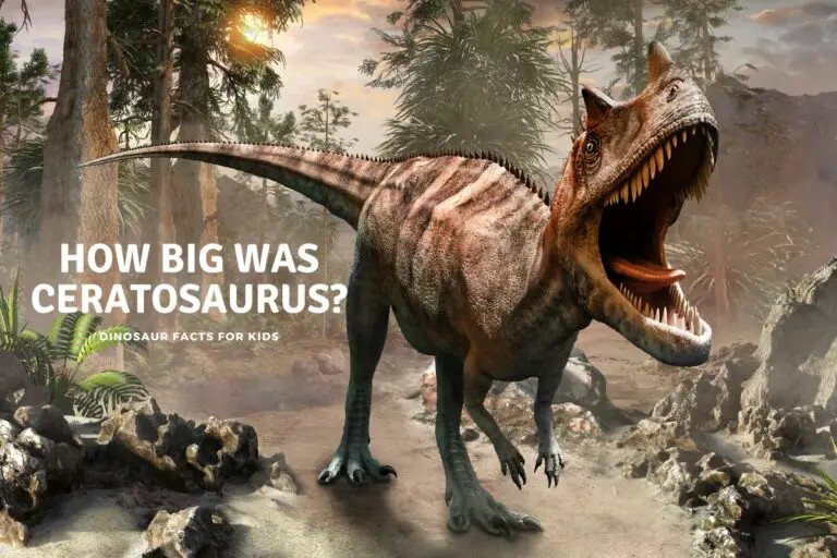 How Big Was Ceratosaurus?