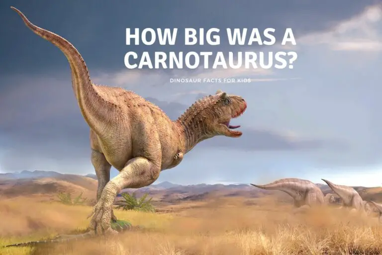 How Big Was a Carnotaurus?