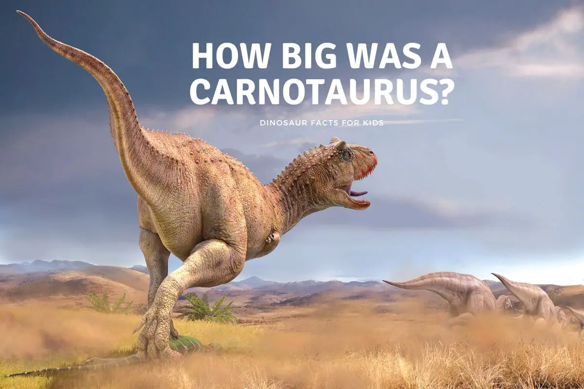 How Big Was a Carnotaurus