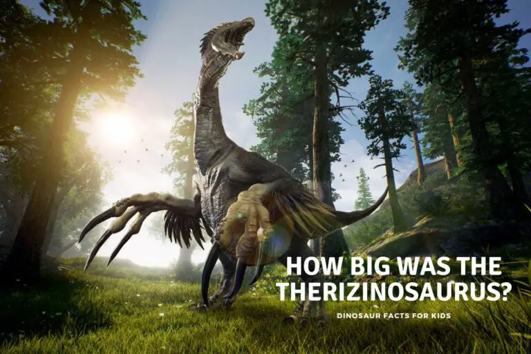 How Big Was the Therizinosaurus?