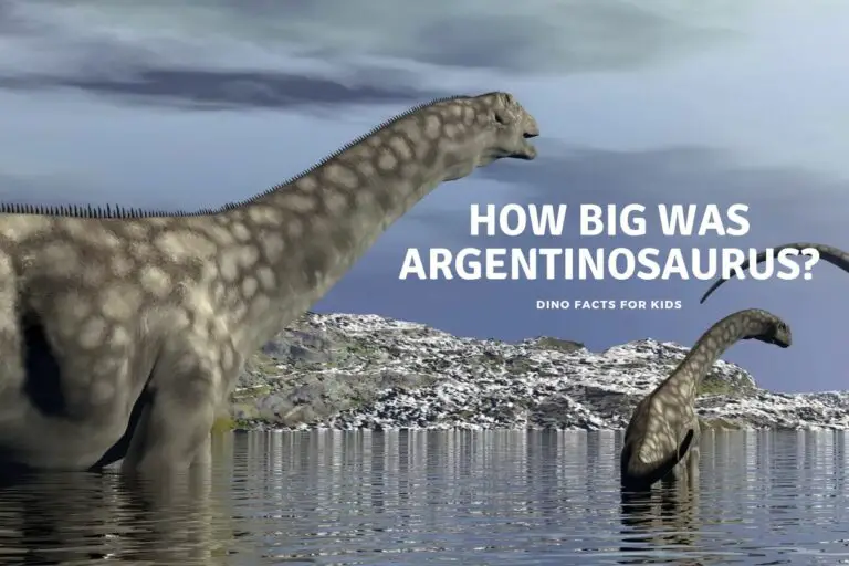 How Big was Argentinosaurus?