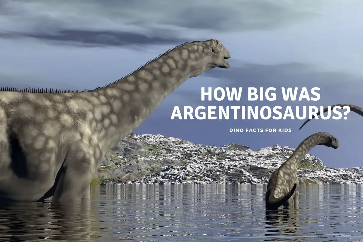 How Big was Argentinosaurus