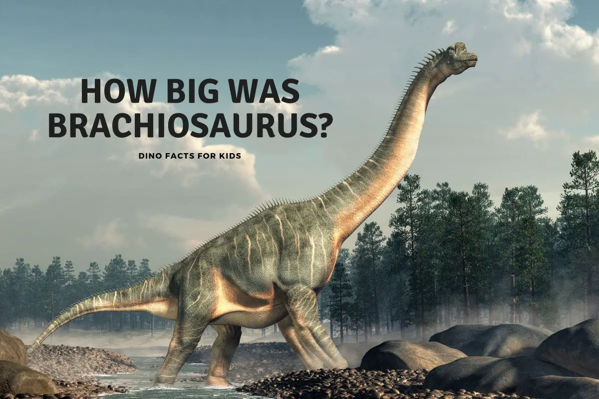 how big was a brachiosaurus