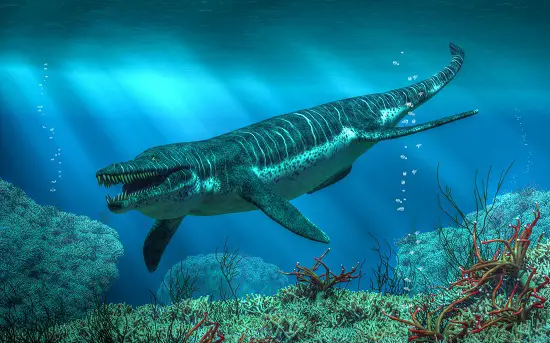 how big was kronosaurus
