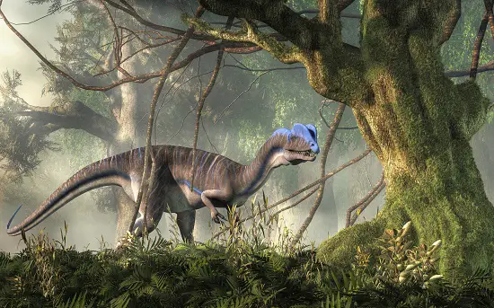 How big was Dilophosaurus