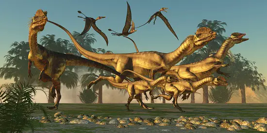 How big was Dilophosaurus