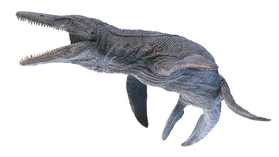 how big was a kronosaurus