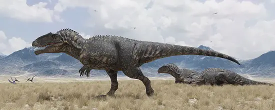 How big was giganotosaurus