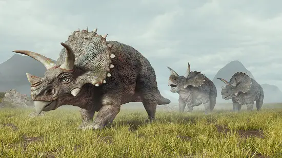 Dinosaur poem Triceratops, dinosaur limerick, dinosaur poetry