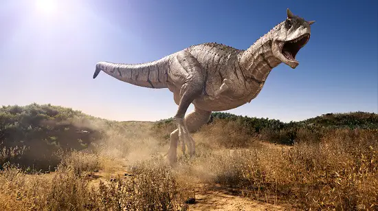 most popular dinosaur - Carnotaurus