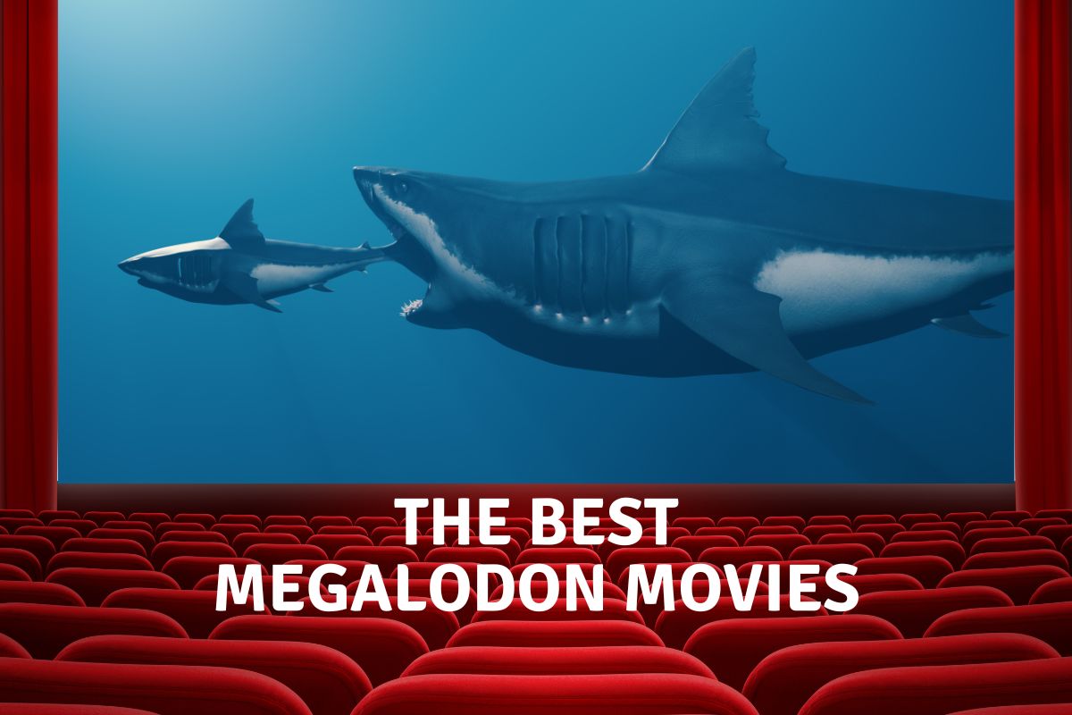 The Best Megalodon Movies