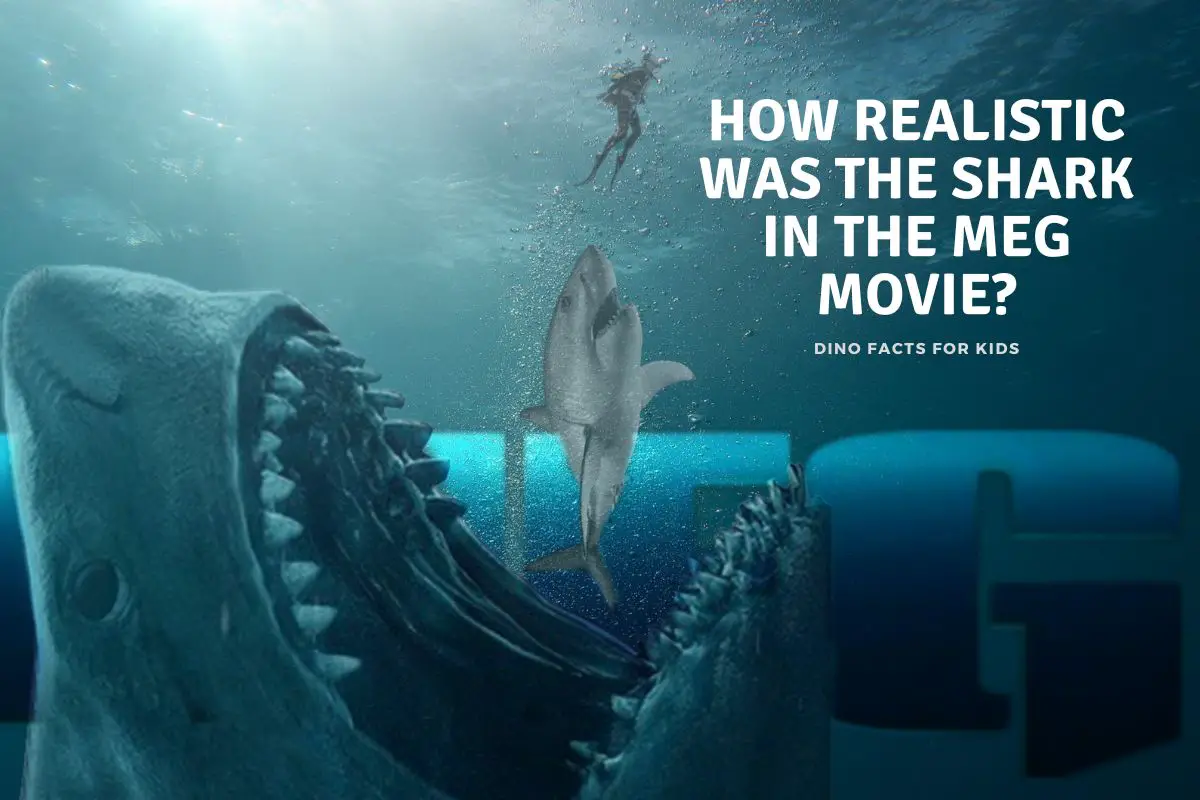 How Realistic Was the Shark in The Meg Movie?